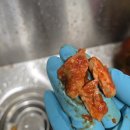 (주)드림리테일 | 바니바니바니바니당근당근