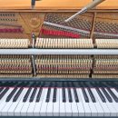 서울메네스음악학원 이미지