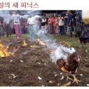 피닉스치킨 네이버블로그