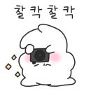 네일어텐션 이미지