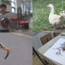 미꾸라지세상 이미지