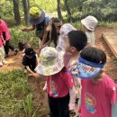 김해유치원 이미지