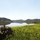 보성강2 이미지