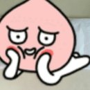 뽀소송 이미지