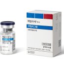 이송글로벌팩토리 리얼뉴스