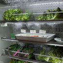 본동카페 | 수락휴) 3분컷 마감되는 자연휴양림 상세후기 - 본동, 개별동, 트리하우스 차이