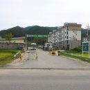 서화대대