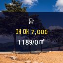송산면부동산공인중개사사무소 네이버블로그