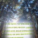 호텔 칸느 | 일의 감각 책 | 조수용 책 후기 | 실력보다 무서운 태도의 힘 추천 리뷰 핵심 요약