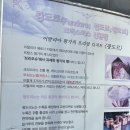 팡도리노베이커리 | [상봉 | 망우역 빵집] 줄 서서 먹는 팡도리노 베이커리 호밀빵 맛집 후기