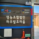 앙코르브라보노사회적협동조합 이미지