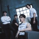 하이라이트
