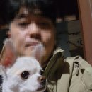 코지독하우스 이미지