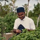 쏠발전소 이미지