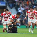 국가태권도 이미지