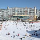 주정차-45 이미지