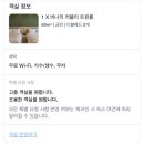담앤루 | [제주도 서귀포시 숙소 추천] 담앤루 리조트 | 연돈 근처 숙소