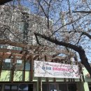 화정주공경로식당 | 4월2일 #화정종합사회복지관 #화사하데이 행사