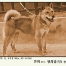 만희 이미지