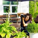 글로리아펜션 이미지