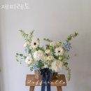 제피레토