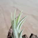 근형농장 이미지