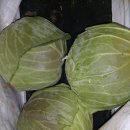 이찬농장 이미지