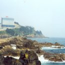 새천년도로(정라) 이미지