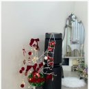 쪼쪼애견 | 청라네일 맛집 "네일달다청라점"에서 네일효도하고 왔어요 :)