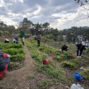 도시텃밭 정원을 가꾸는 유기농기능사 | 토양 속 이야기, 해운대구 평생학습관 ‘텃밭프로그램’ 현장 속으로(2-4)