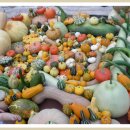 하늘내린농장 이미지