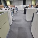 (주)트리본비앤씨