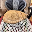 경기도 수원시 영통구 동수원로551번길 이미지