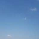 비둘기밧데리 이미지