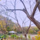 공간811