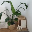 로베펜션 이미지