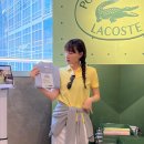 아트카라운지 | 라코스테 성수 폴로 팩토리 팝업 폴로 셔츠 반팔 카라티 후기