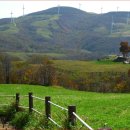 초원사진 이미지