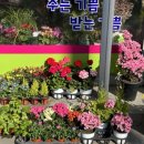 전주효문중학교 이미지
