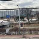 화랑유원지건너편 이미지