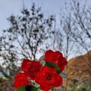 도덕산공원 이미지