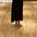 직장인 취미 발레 잠실 스웨이댄스에서 발레스트레칭 해보기 (서울성인발레 클래스)