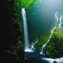 그대 안에그대 이미지