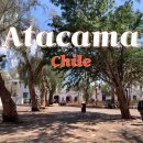 하얀나라 깨끗한세상 | 우유니에서 아타카마 버스 이동, 까다로운 칠레 입국심사, 폭우가 반겨주는 ‘세상에서 가장 건조한 사막’