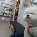 24시 모두의동물병원 이미지