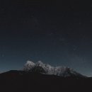 신호조명