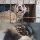 남정현농장 뉴시스