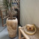 세종메드 이미지