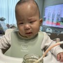 주주푸드 | 25개월 아기반찬 저염 유아식 추천 푸드케어 클레 두돌 아기 식단