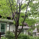 눈꽃마을펜션 이미지